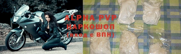 СК Шадринск