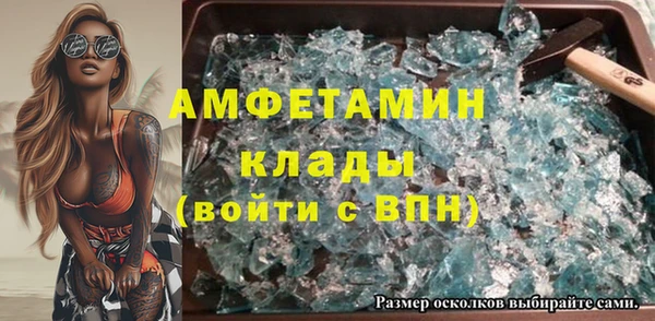 крисы Сясьстрой