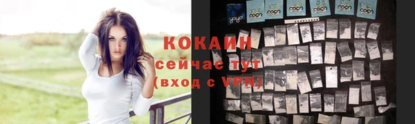 гашик Шарыпово