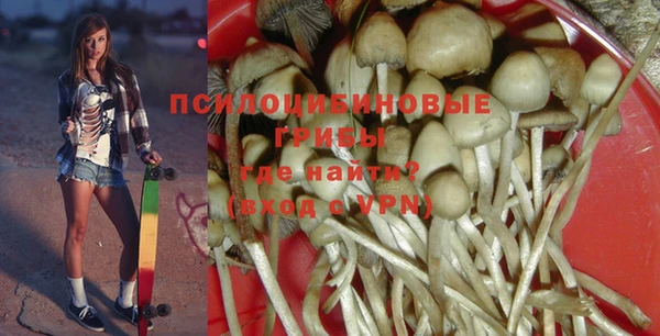 СК Шадринск