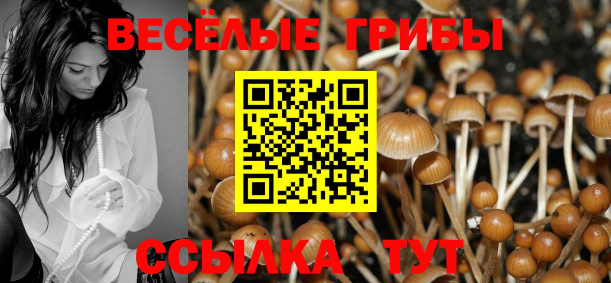 Галлюциногенные грибы Cubensis Нижний Тагил